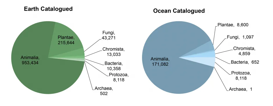 地球和海洋物种目录