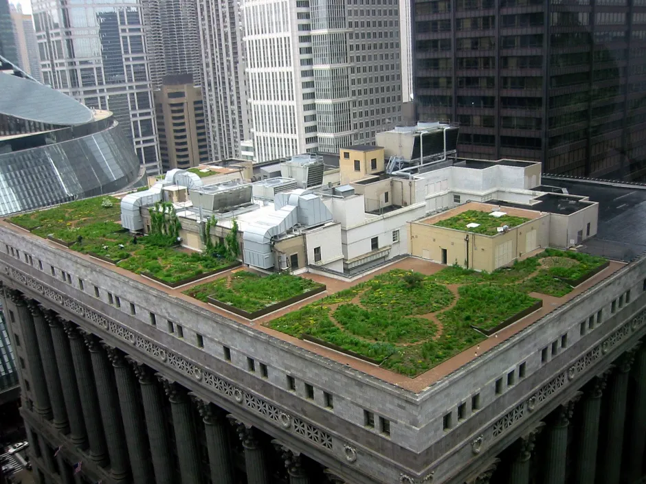 市政厅绿色屋顶，芝加哥，伊利诺伊州